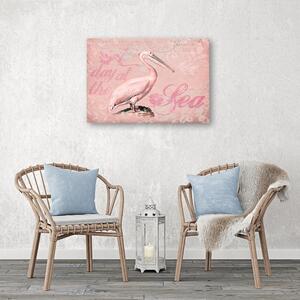 Obraz na plátně Pelikán na růžovém pozadí - Andrea Haase Rozměry: 60 x 40 cm