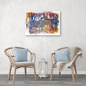 Obraz na plátně Dvě barevné zebry - Andrea Haase Rozměry: 60 x 40 cm