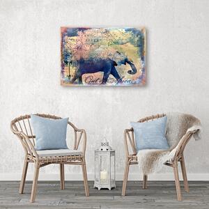 Obraz na plátně Slon na výletě - Andrea Haase Rozměry: 60 x 40 cm