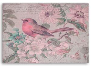 Obraz na plátně Pták v květu - Andrea Haase Rozměry: 60 x 40 cm