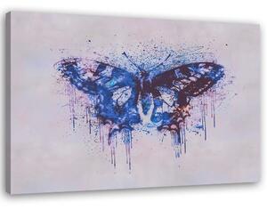 Obraz na plátně Abstraktní motýl - Andrea Haase Rozměry: 60 x 40 cm
