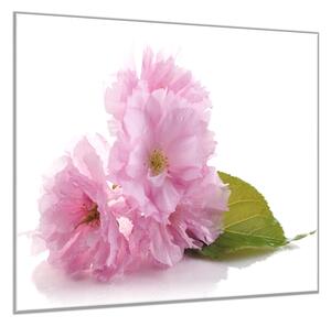 Obraz skleněný čtvercový růžový květ mandloně - 55 x 55 cm