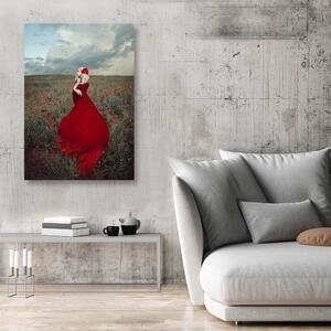 Obraz na plátně Gotická dáma v červených šatech - Maryna Khomenko Rozměry: 40 x 60 cm