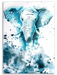 Obraz na plátně Malovaný slon - Marta Horodniczy Rozměry: 40 x 60 cm