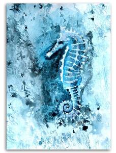 Obraz na plátně Mořský koník natřený na modro - Marta Horodniczy Rozměry: 40 x 60 cm