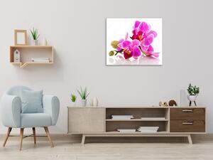 Obraz skleněný čtvercový poupata a květy růžové orchideje - 40 x 40 cm