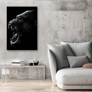 Obraz na plátně King Kong - Alberto Perez Rozměry: 40 x 60 cm