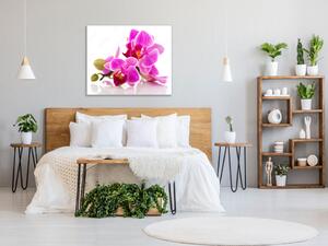 Obraz skleněný čtvercový poupata a květy růžové orchideje - 34 x 34 cm
