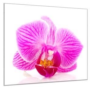 Obraz skleněný čtvercový květ růžové orchideje - 40 x 40 cm