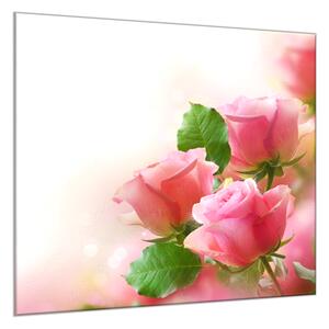 Obraz skleněný čtvercový květy růžové růže ve stínu - 40 x 40 cm