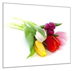 Obraz skleněný čtvercový květy tulipánů na bílém podkladu - 40 x 40 cm