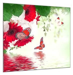 Obraz skleněný čtvercový červené gerbery a motýl nad hladinou - 55 x 55 cm