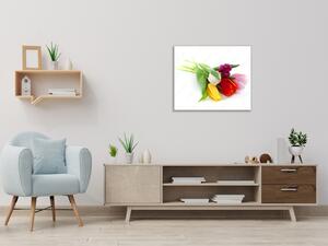 Obraz skleněný čtvercový květy tulipánů na bílém podkladu - 40 x 40 cm