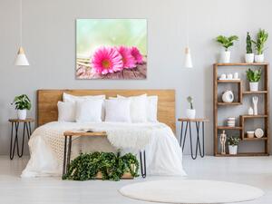 Obraz skleněný čtvercový květy růžové gerbery na dřevě - 40 x 40 cm