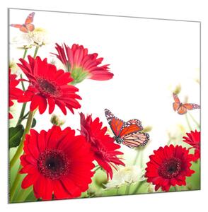 Obraz skleněný čtvercový červené gerbery a motýl - 34 x 34 cm