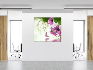 Obraz skleněný čtvercový fialová gerbera a motýl nad hladinou vody - 40 x 40 cm