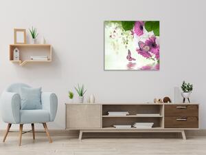 Obraz skleněný čtvercový fialová gerbera a motýl nad hladinou vody - 40 x 40 cm