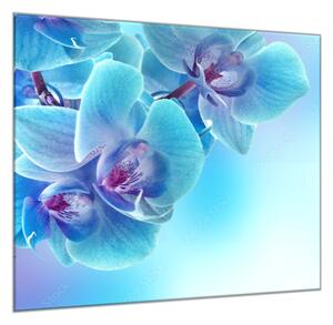 Obraz skleněný čtvercový květ modrá orchidej a modrý stín - 34 x 34 cm