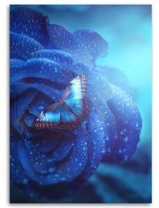 Obraz na plátně Motýl a kouzelná modrá růže - Jose Francese Rozměry: 40 x 60 cm