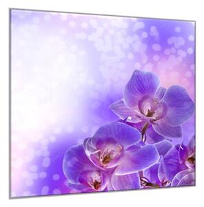 Obraz skleněný čtvercový květ fialové orchideje a fialový stín - 40 x 40 cm