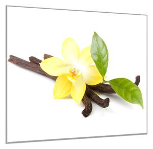 Obraz skleněný čtvercový žlutá orchidej, list a vanilka - 34 x 34 cm