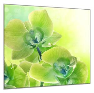 Obraz skleněný čtvercový květ žluto zelená orchidej a stín - 55 x 55 cm
