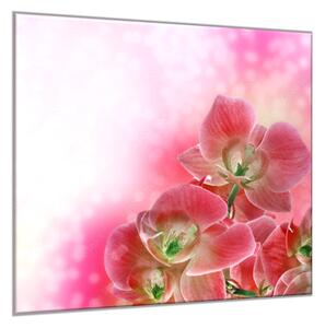 Obraz skleněný čtvercový květ růžové orchideje a růžový stín - 55 x 55 cm