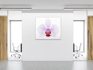 Obraz skleněný čtvercový velký květ orchideje - 40 x 40 cm