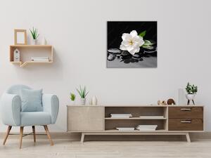 Obraz skleněný čtvercový bílý květ na černém pozadí - 40 x 40 cm