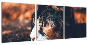 Obraz - Pohled kočky (s hodinami) (90x30 cm)