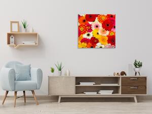 Obraz skleněný čtvercový barevné květy gerber - 40 x 40 cm