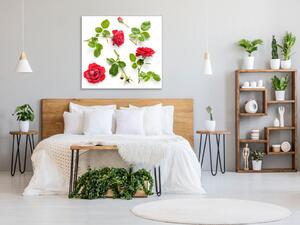 Obraz skleněný čtvercový květy červené růže a listí - 55 x 55 cm