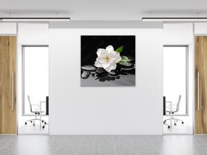 Obraz skleněný čtvercový bílý květ na černém pozadí - 50 x 50 cm