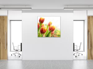 Obraz skleněný čtvercový červeno žluté tulipány - 40 x 40 cm