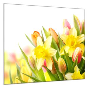 Skleněný obraz na zeď květy narcisů a tulipánů - 34 x 34 cm