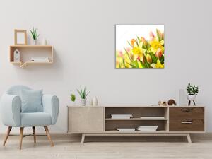 Skleněný obraz na zeď květy narcisů a tulipánů - 40 x 40 cm