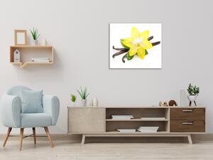 Obraz skleněný čtvercový květ žlutá orchidej a vanilka - 40 x 40 cm