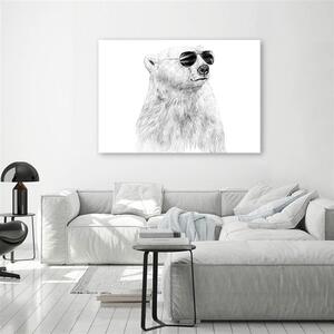 Obraz na plátně Černobílý medvěd s brýlemi - Rykker Rozměry: 60 x 40 cm