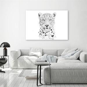 Obraz na plátně Černobílý leopard - Rykker Rozměry: 60 x 40 cm