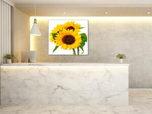 Obraz skleněný čtvercový tři květy slunečnice - 34 x 34 cm