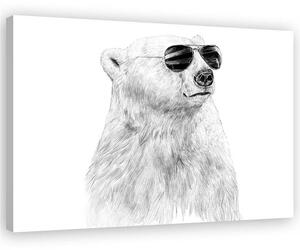 Obraz na plátně Černobílý medvěd s brýlemi - Rykker Rozměry: 60 x 40 cm