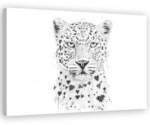 Obraz na plátně Černobílý leopard - Rykker Rozměry: 60 x 40 cm