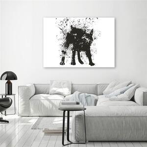 Obraz na plátně Černá abstrakce - Rykker Rozměry: 60 x 40 cm