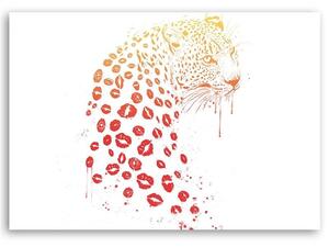 Obraz na plátně Leopard v ústech - Rykker Rozměry: 60 x 40 cm