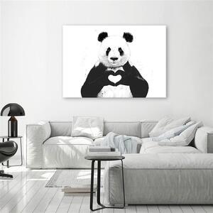 Obraz na plátně Panda se srdcem - Rykker Rozměry: 60 x 40 cm