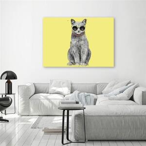 Obraz na plátně Kočka s brýlemi - Rykker Rozměry: 60 x 40 cm