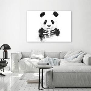 Obraz na plátně Kostra medvěda pandy - Rykker Rozměry: 60 x 40 cm