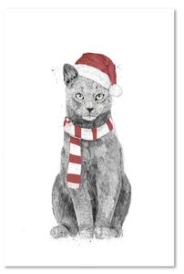 Obraz na plátně Vánoční kočka v červené čepici - Rykker Rozměry: 40 x 60 cm