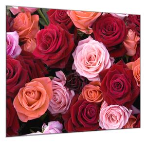 Obraz skleněný čtvercový detail květů červených a růžových růží - 55 x 55 cm