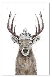 Obraz na plátně Jelen v zimní vánoční čepici - Rykker Rozměry: 40 x 60 cm